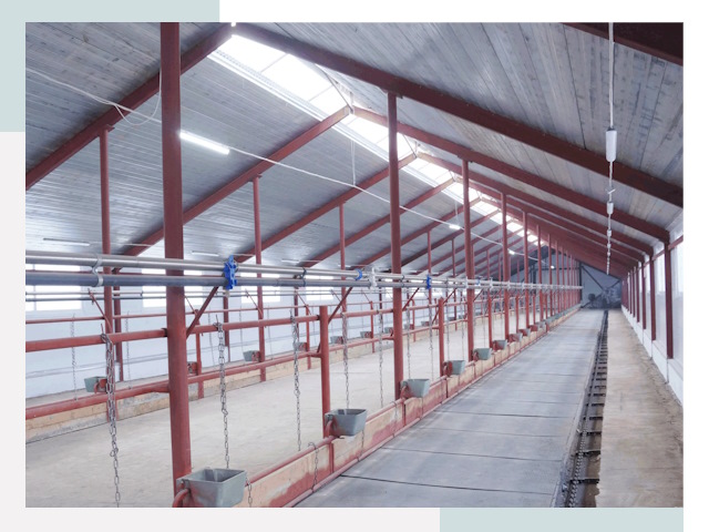 Строительство коровников в Великом Устюге от 611 руб.