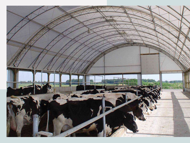 Тентовые коровники в Великом Устюге